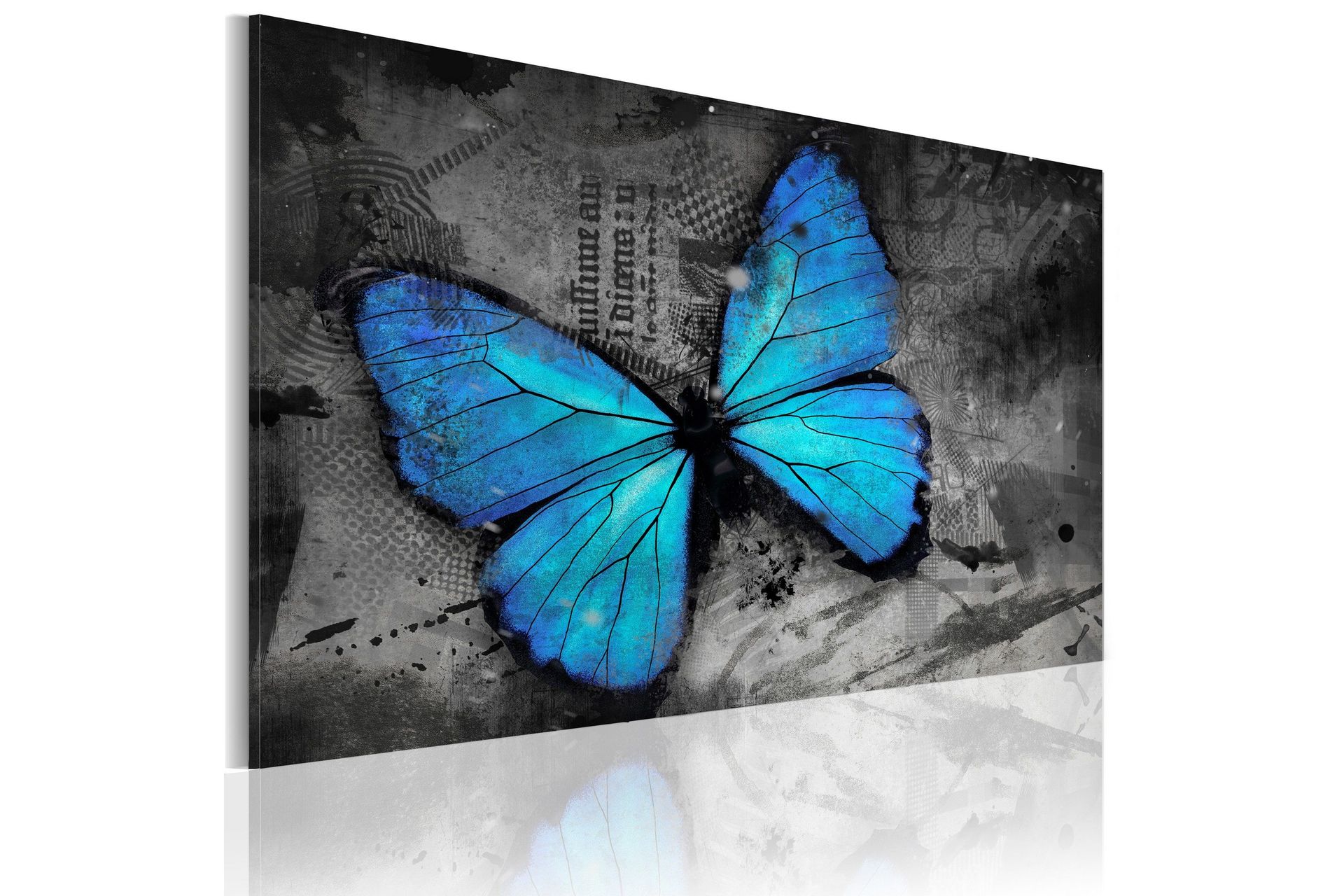 Bilde The study of butterfly 120x80 - Artgeist sp. z o. o.