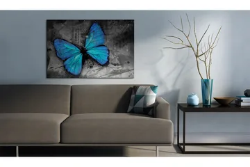 Bilde The Study Of Butterfly 60x40 - Artgeist sp. z o. o. - Innredning - Bilder & kunst - Lerretsbilder