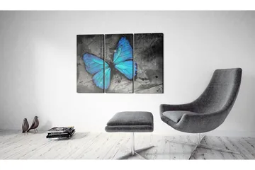 Bilde The Study Of Butterfly Triptych 120x80 - Artgeist sp. z o. o. - Innredning - Bilder & kunst - Lerretsbilder