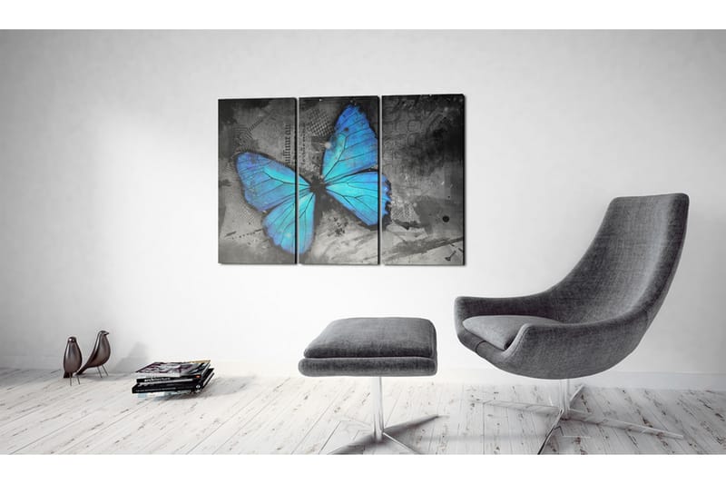 Bilde The Study Of Butterfly Triptych 60x40 - Artgeist sp. z o. o. - Lerretsbilder
