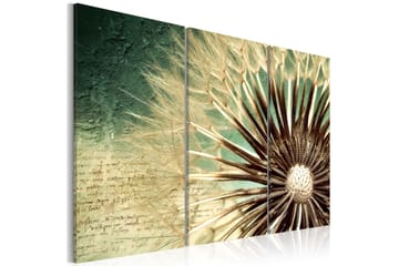 Bilde Transitory Beauty 60x40