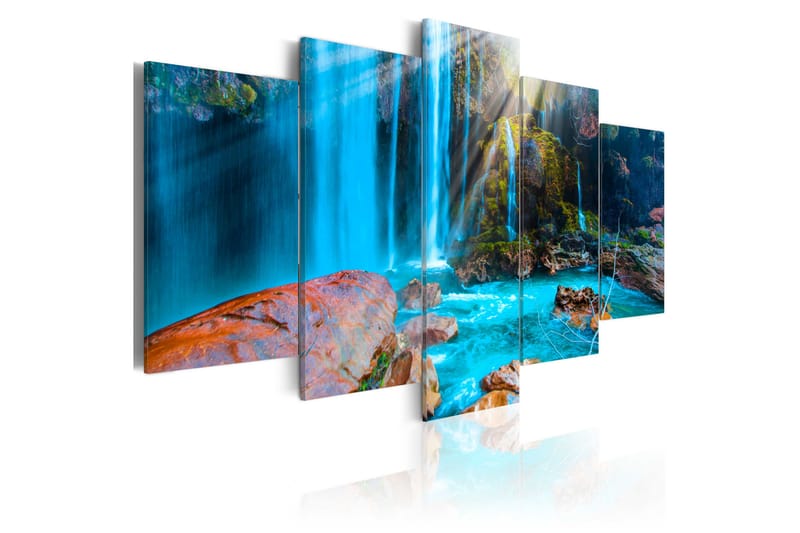 Bilde Treasures Of Nature 100x50 - Artgeist sp. z o. o. - Innredning - Bilder & kunst - Lerretsbilder