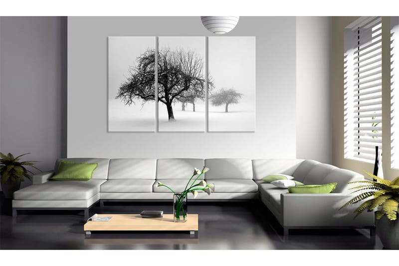 Bilde Trees Submerged In White 120x80 - Artgeist sp. z o. o. - Innredning - Bilder & kunst - Lerretsbilder