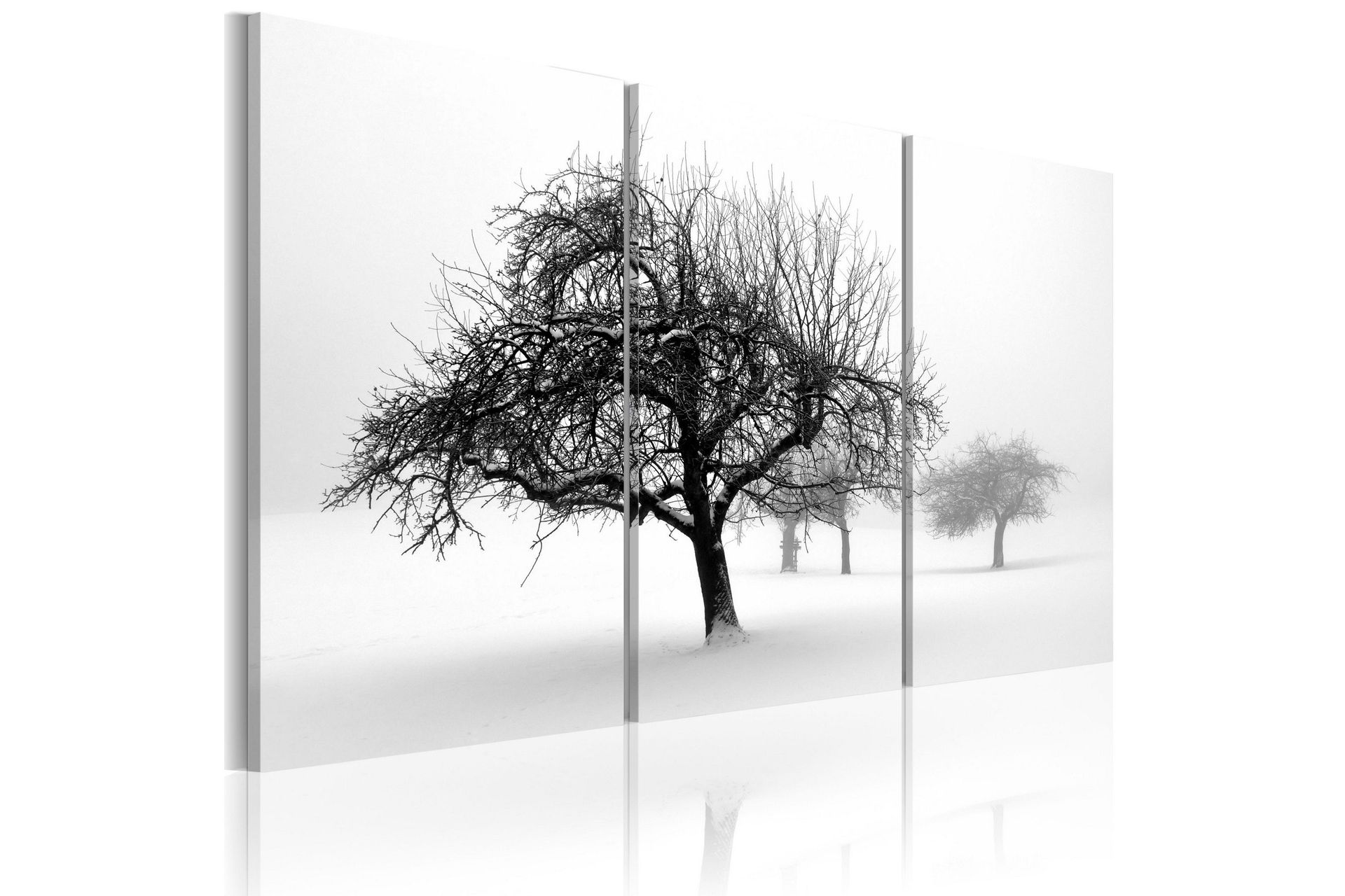 Bilde Trees Submerged In White 60x40 - Artgeist sp. z o. o.