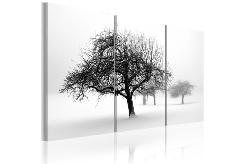 Bilde Trees Submerged In White 60x40 - Artgeist sp. z o. o. - Lerretsbilder