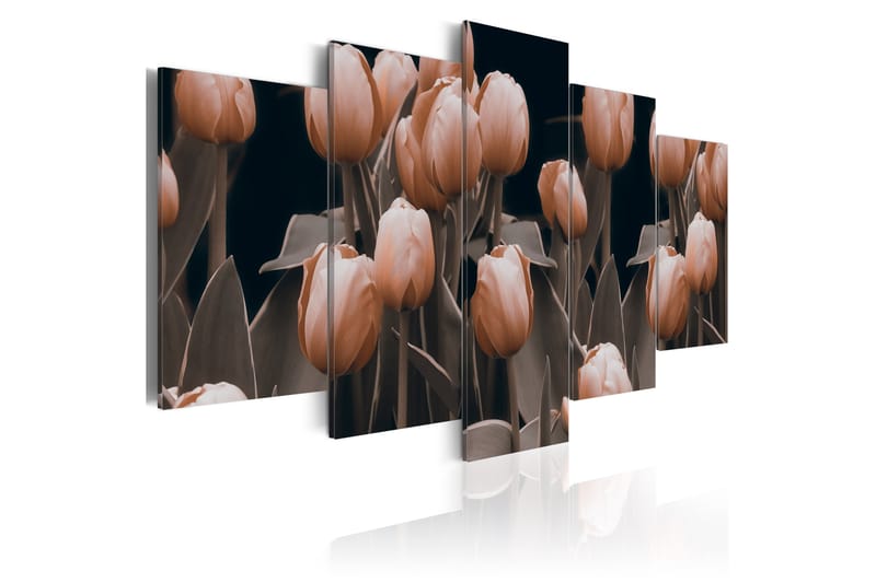 Bilde Tulipaner Sepia 100x50 - Artgeist sp. z o. o. - Innredning - Bilder & kunst - Lerretsbilder