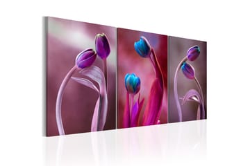 Bilde Tulips In Love 120x60