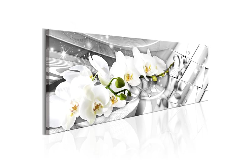Bilde Twisted Orchids 120x40 - Artgeist sp. z o. o. - Lerretsbilder