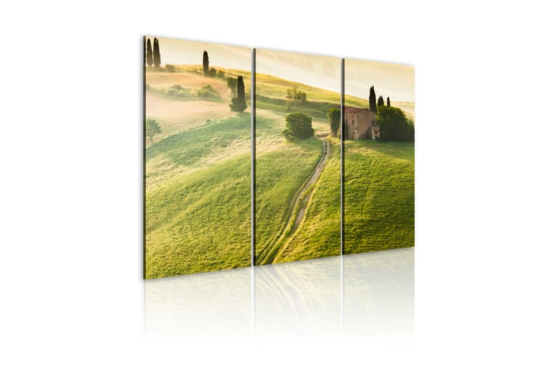 Bilde Under The Tuscan Sun 120x80 - Artgeist sp. z o. o. - Innredning - Bilder & kunst - Lerretsbilder