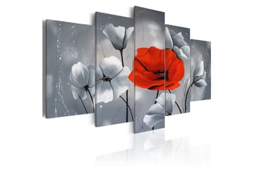 Bilde Unike 100x50