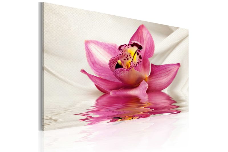 Bilde Unusual Orchid 60x40, Artgeist sp. z o. o.
