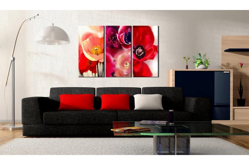 Bilde Vallmue Tre Perspektiv 120x80 - Artgeist sp. z o. o. - Innredning - Bilder & kunst - Lerretsbilder