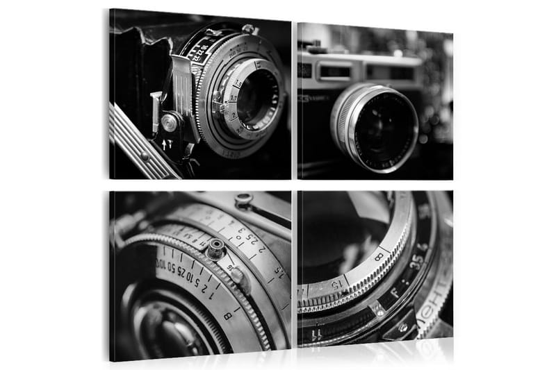 Bilde Vintage Cameras 60x60 - Artgeist sp. z o. o. - Lerretsbilder