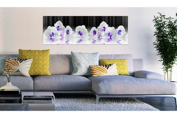 Bilde Water Orchids 120x40 - Artgeist sp. z o. o. - Innredning - Bilder & kunst - Lerretsbilder