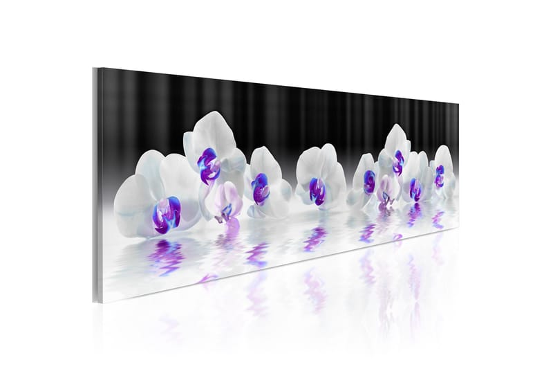 Bilde Water Orchids 120x40, Artgeist sp. z o. o.