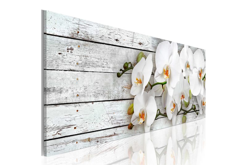 Bilde White Dreams 135x45 - Artgeist sp. z o. o. - Innredning - Bilder & kunst - Lerretsbilder