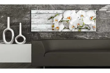 Bilde White Dreams 150x50 - Artgeist sp. z o. o. - Innredning - Bilder & kunst - Lerretsbilder
