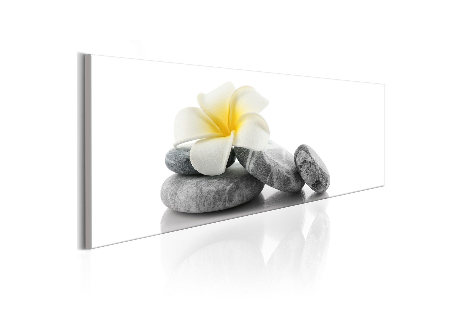 Bilde White Lotus 120x40 - Artgeist sp. z o. o.