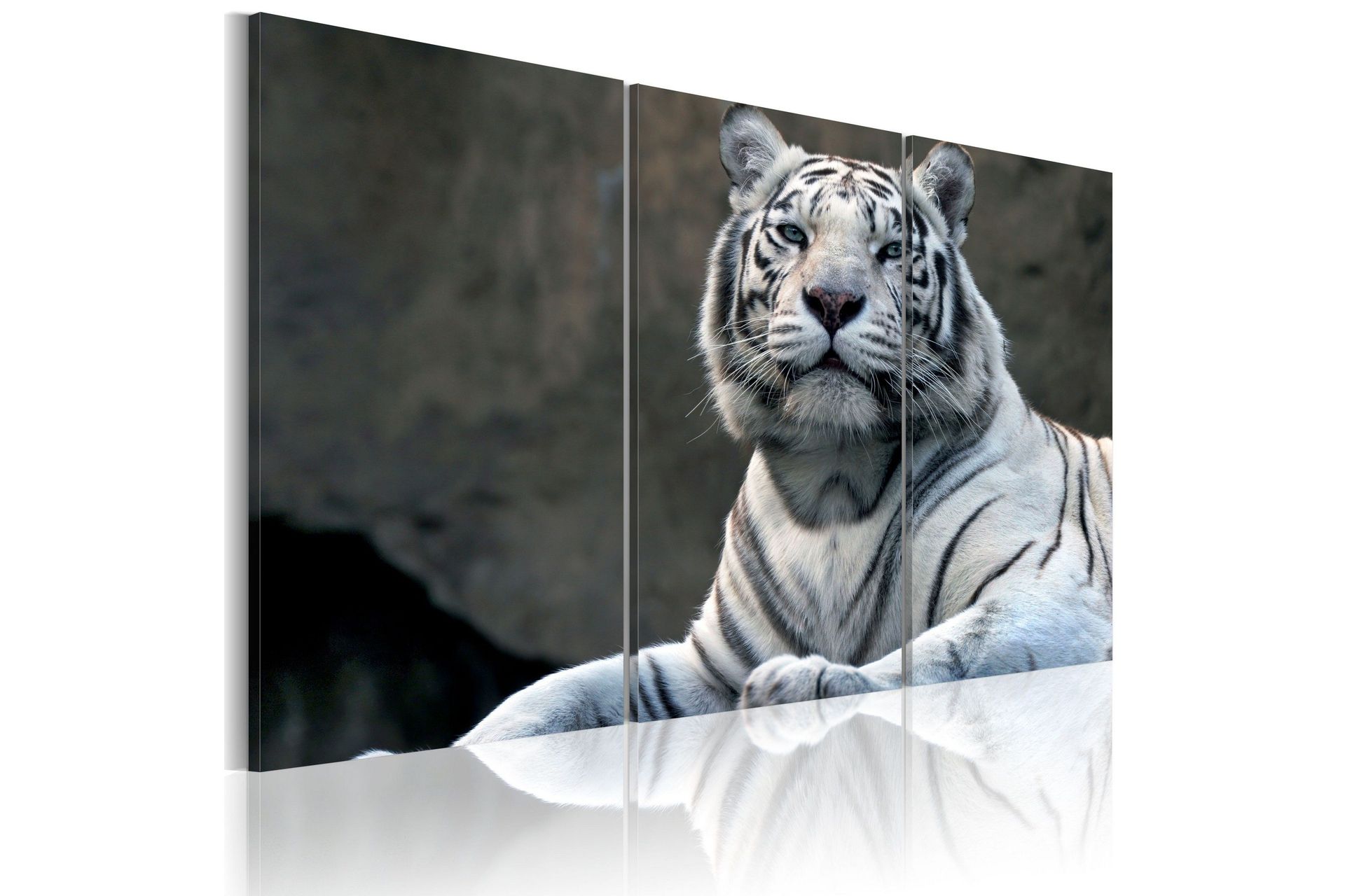 Bilde White Tiger 60x40 - Artgeist sp. z o. o.