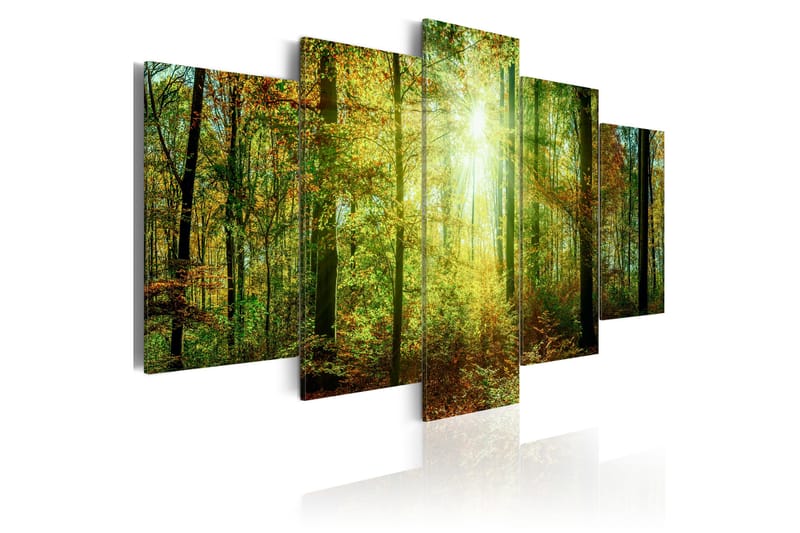Bilde Wild Forest 200x100 - Artgeist sp. z o. o. - Innredning - Bilder & kunst - Lerretsbilder