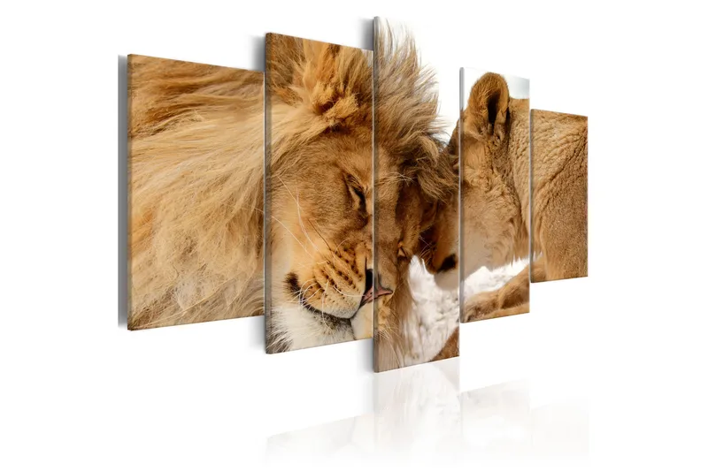 Bilde Wild Love 100x50, Artgeist sp. z o. o.