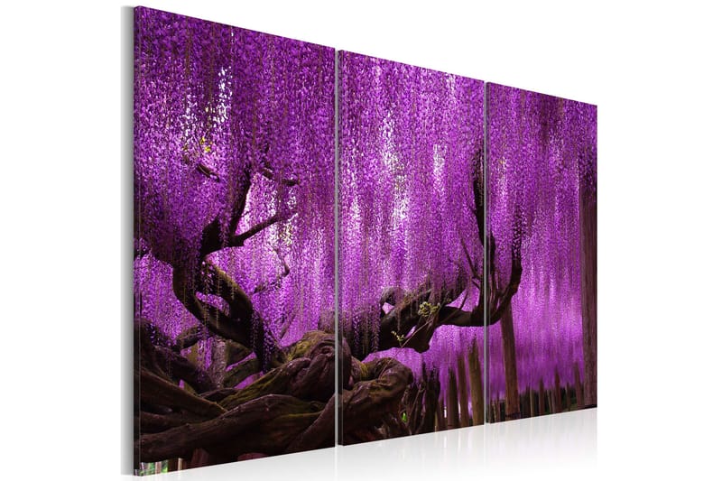 Bilde Wisteria 60x40, Artgeist sp. z o. o.