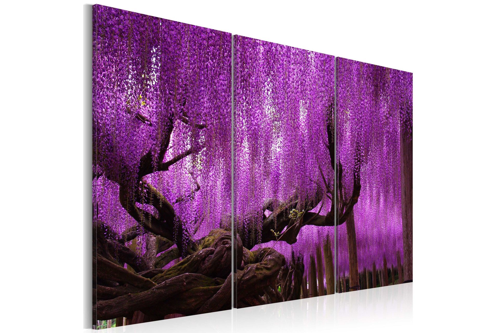 Bilde Wisteria 90x60 - Artgeist sp. z o. o.