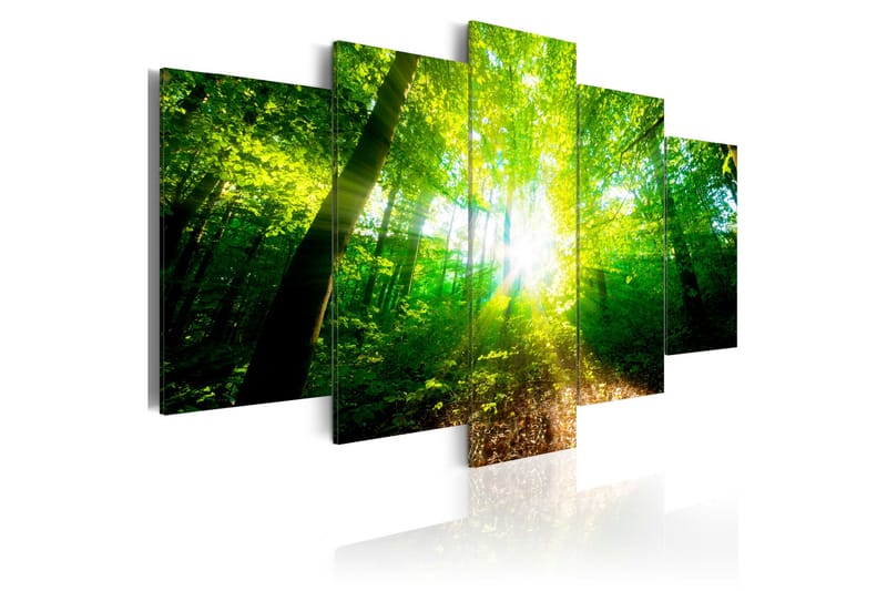Bilde Wonderful Morning 200x100 - Artgeist sp. z o. o. - Innredning - Bilder & kunst - Lerretsbilder