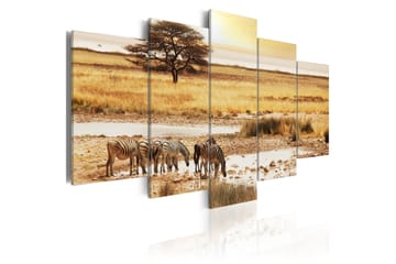 Bilde Zebras On A Savannah 100x50