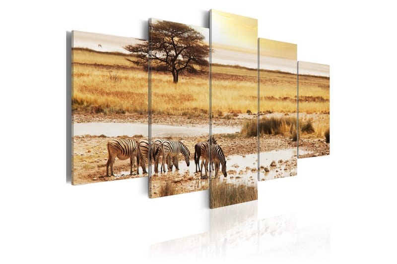 Bilde Zebras On A Savannah 200x100 - Artgeist sp. z o. o. - Innredning - Bilder & kunst - Lerretsbilder
