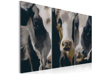 Bilde Piebald Cow 120x80
