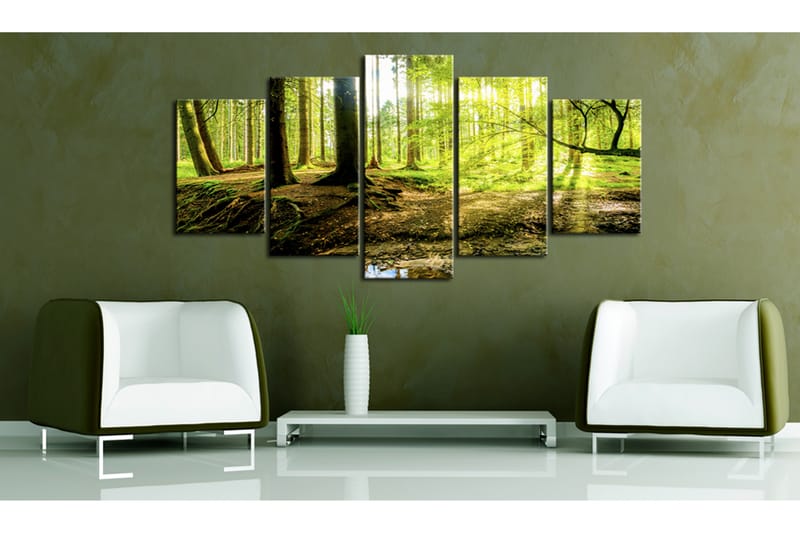 Bilde Poetry Of A Forest 100x50 - Artgeist sp. z o. o. - Innredning - Bilder & kunst - Lerretsbilder