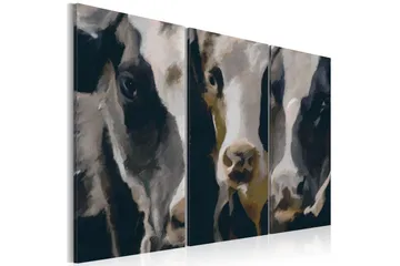 Bilde Piebald cow 90x60