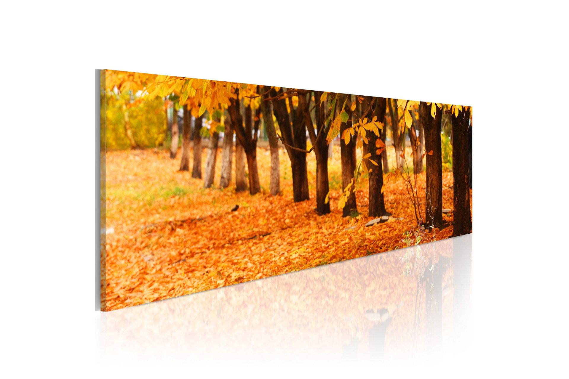 Bilde Park Covered With Golden Leaves 120x40 - Artgeist sp. z o. o.