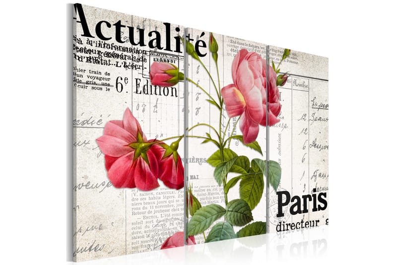 Bilde Paris Directeur 60x40 - Artgeist sp. z o. o. - Innredning - Bilder & kunst - Lerretsbilder