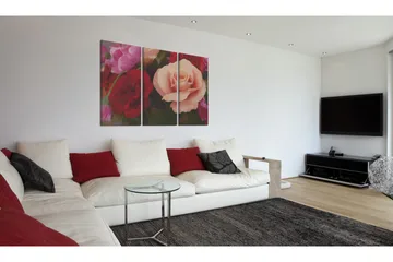 Bilde Perfect In Every Inch 120x80 - Artgeist sp. z o. o. - Innredning - Bilder & kunst - Lerretsbilder