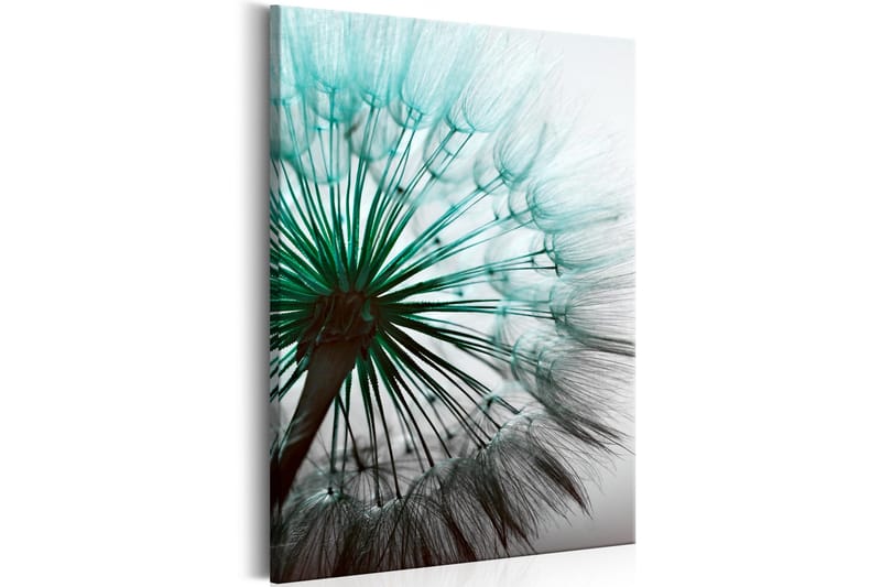 Bilde Perfect Dandelion 40x60 - Artgeist sp. z o. o. - Innredning - Bilder & kunst - Lerretsbilder