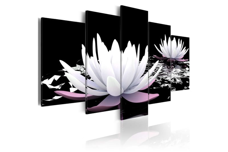 Bilde Passing Beauty 100x50 - Artgeist sp. z o. o. - Innredning - Bilder & kunst - Lerretsbilder