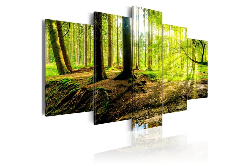 Bilde Poetry Of A Forest 100x50 - Artgeist sp. z o. o. - Innredning - Bilder & kunst - Lerretsbilder