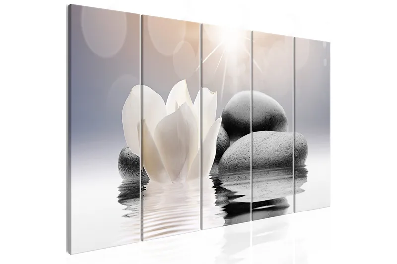 Bilde Pebbles In Water 5 Parts Narrow 200x80 - Artgeist sp. z o. o. - Innredning - Bilder & kunst - Lerretsbilder