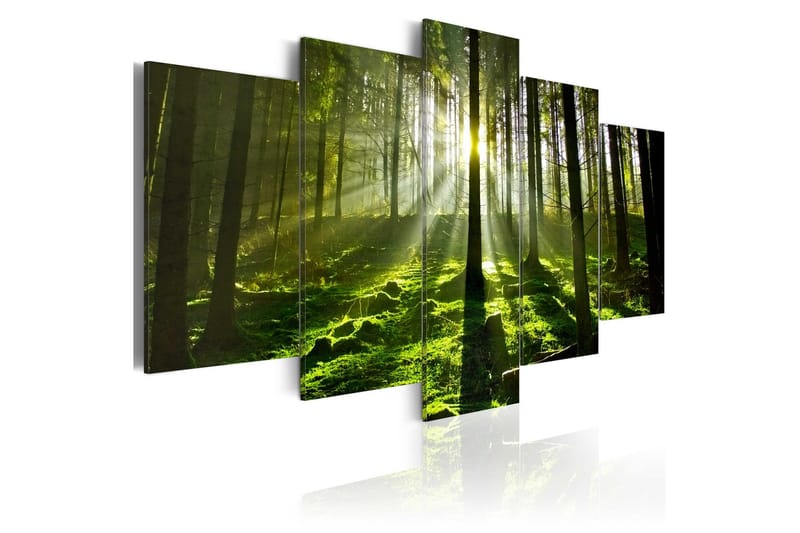 Bilde Peace Of Mind 100x50, Artgeist sp. z o. o.