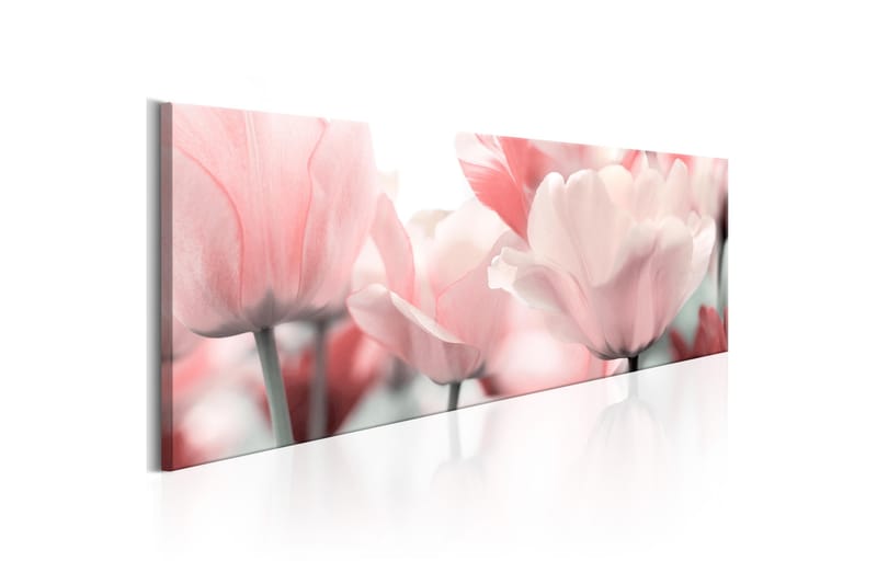 Bilde Pink Tulips 150x50 - Artgeist sp. z o. o. - Innredning - Bilder & kunst - Lerretsbilder