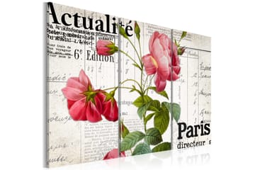 Bilde Paris director 90x60