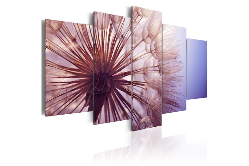 Bilde Purple Glare 200x100 - Artgeist sp. z o. o. - Innredning - Bilder & kunst - Lerretsbilder