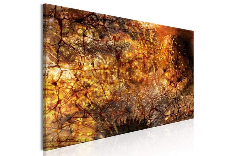 Bilde Pupil 1 Part Narrow 150x50 - Artgeist sp. z o. o. - Innredning - Bilder & kunst - Lerretsbilder