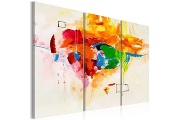 Bilde Papegøyen 60x40