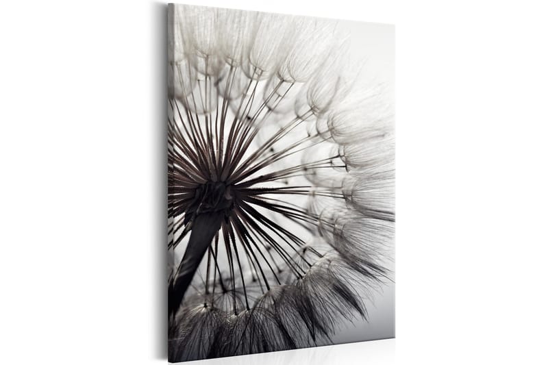 Bilde Pure Delicacy 40x60 - Artgeist sp. z o. o. - Innredning - Bilder & kunst - Lerretsbilder