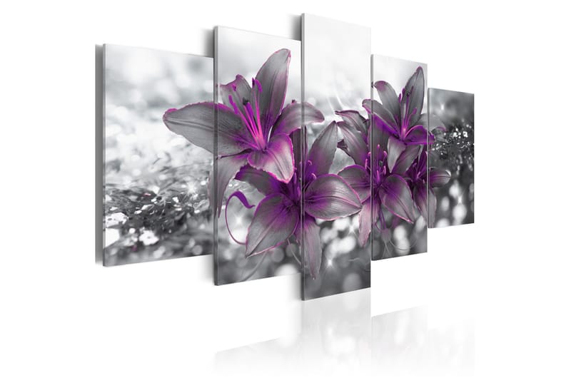 Bilde Princess Of The Night 200x100 - Artgeist sp. z o. o. - Innredning - Bilder & kunst - Lerretsbilder