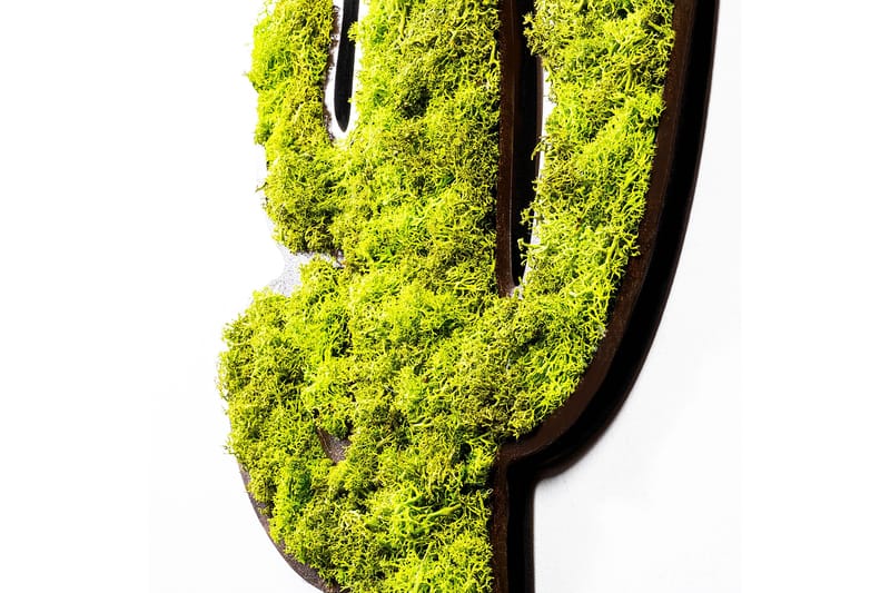 Cactus Canvasbilde - Grønn/Hvit - Innredning - Bilder & kunst - Lerretsbilder