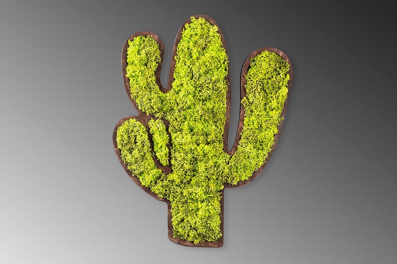 Cactus Canvasbilde - Grønn/Hvit - Lerretsbilder